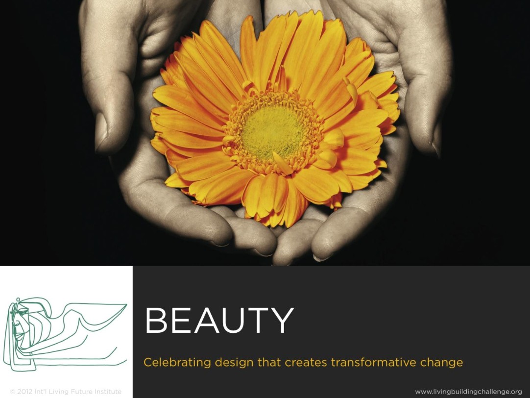 2012_06_16 immagine 10