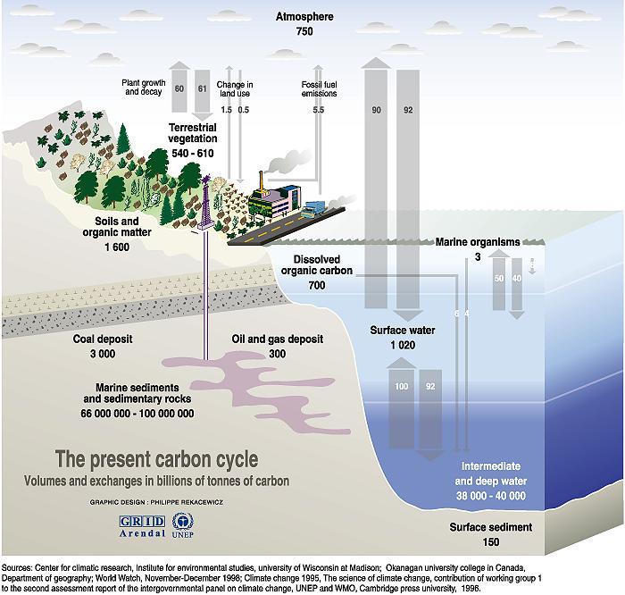 the present carbon cycle