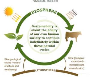 Image: The Natural Step