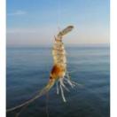 2013_04_08 immagine 06