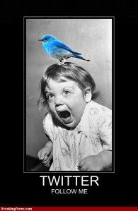 2013_05_17 immagine 04