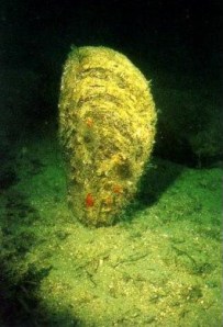 2013_05_20 immagine 01