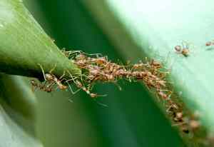 2013_07_19 immagine 02