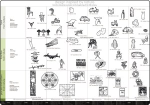 biomimicry&designA4WEB