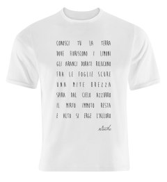 2014_01_10 immagine 04