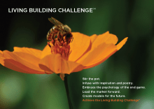 2014_05_21 immagine 06