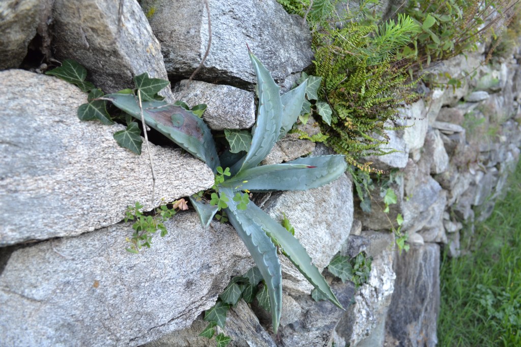 2014_07_25 immagine 01