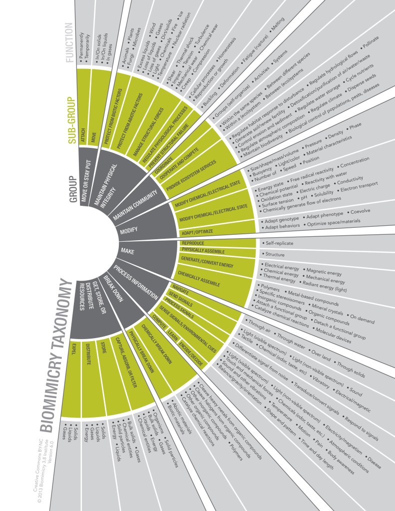 2015_04_15-01 taxonomy