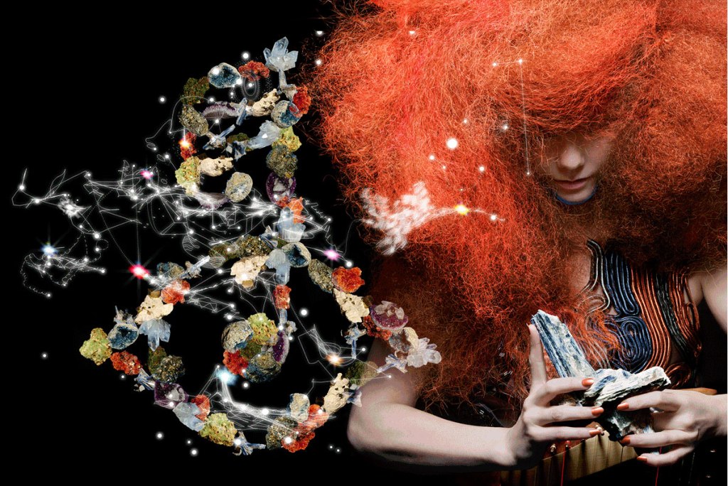 2015_06_10-03 Björk Biophilia