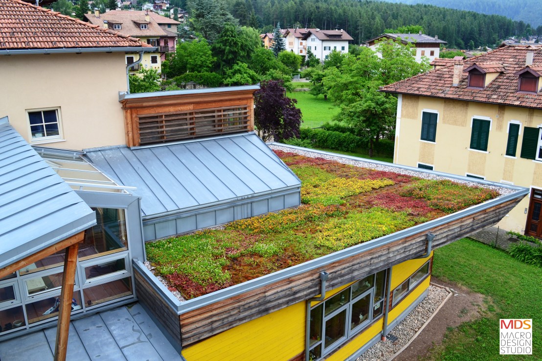 Peter Pan is&nbsp;Green!