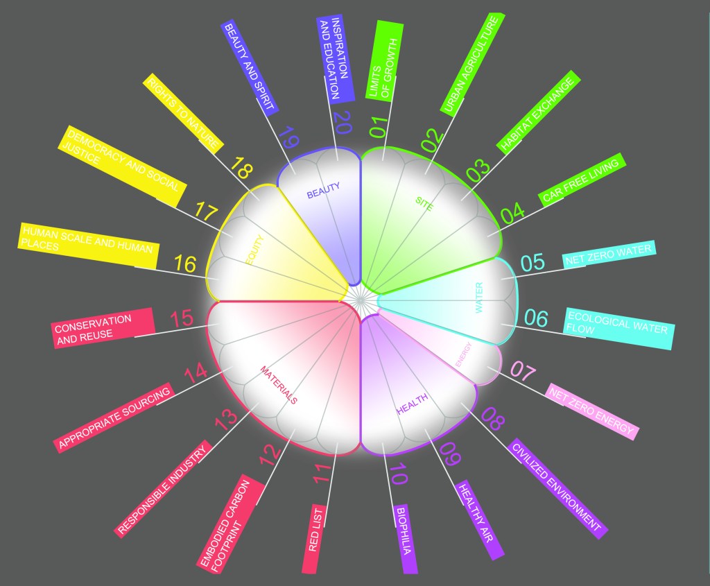 2015_12_09-01 Petals