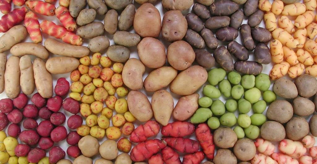 2016_02_24-06 biodiversità