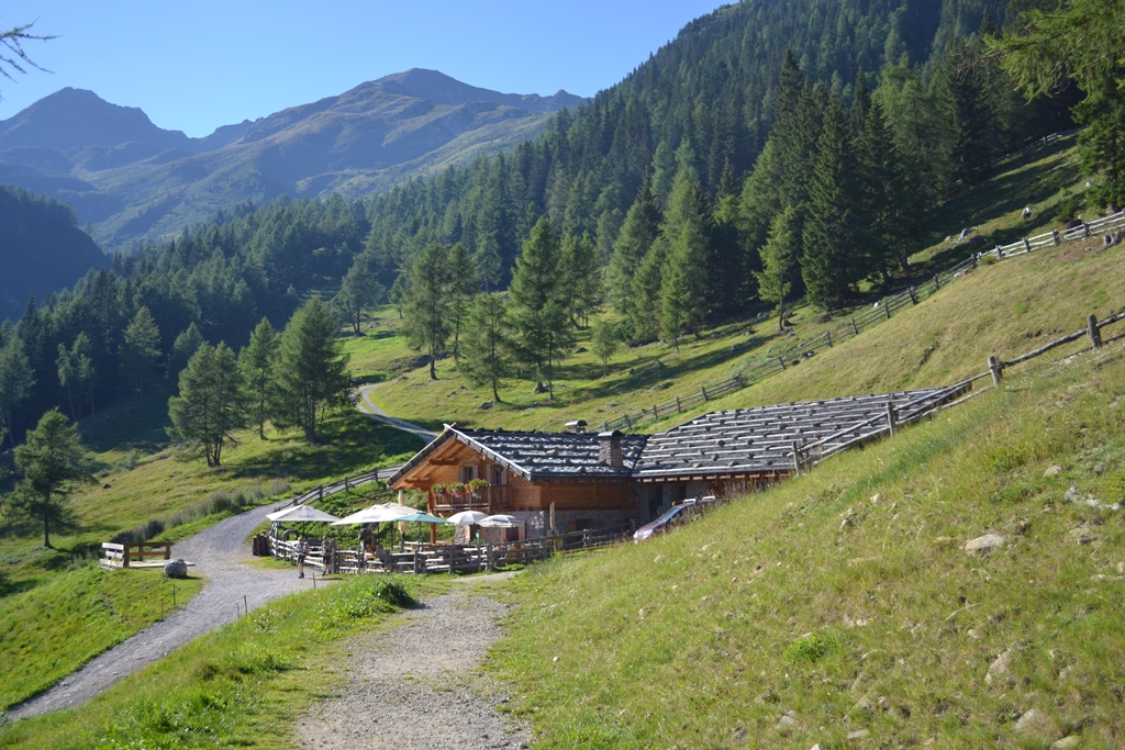 La montagna ci salverà&nbsp;…