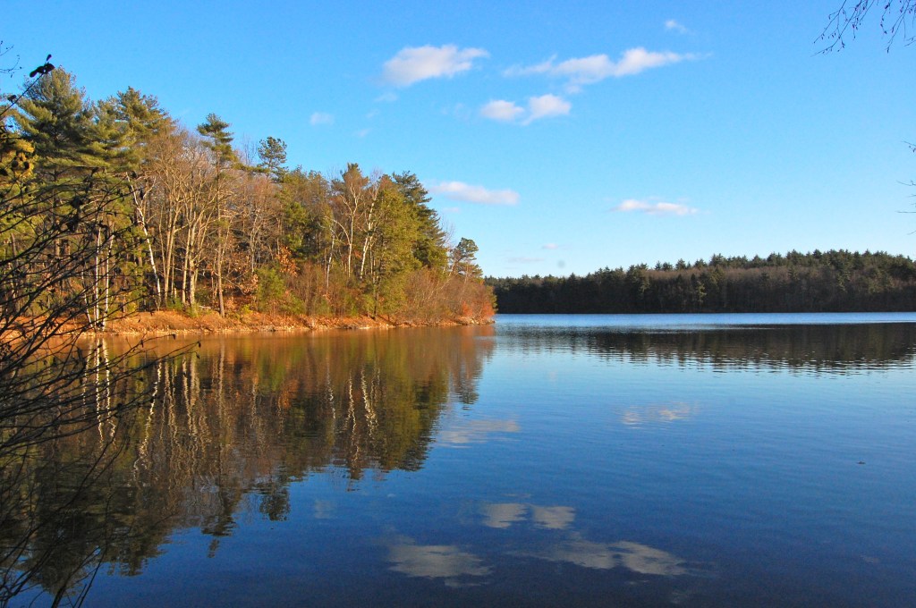 Walden Pond, Concord (MA, USA)