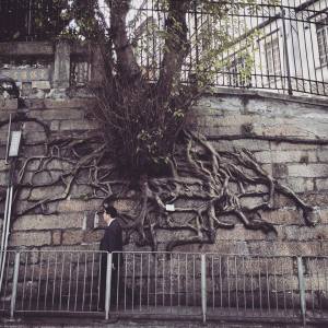 Hong Kong (photo: Deon Glaser)