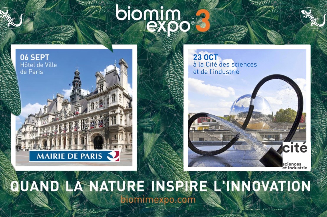 When biophilia meets&nbsp;biomimicry.